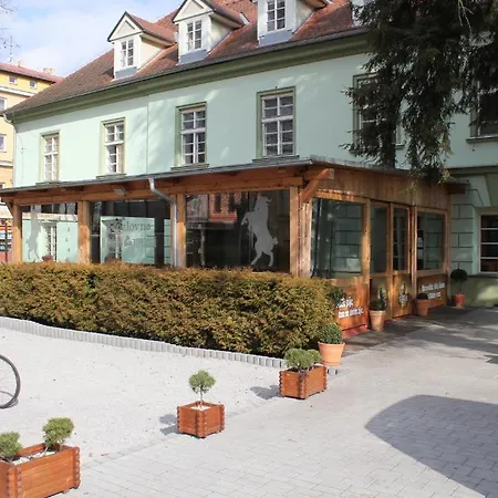 Zelena Ratolest Guest house 3*