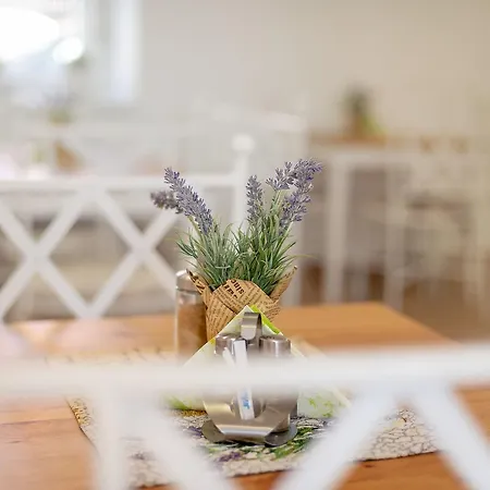 Guest house Zelena Ratolest