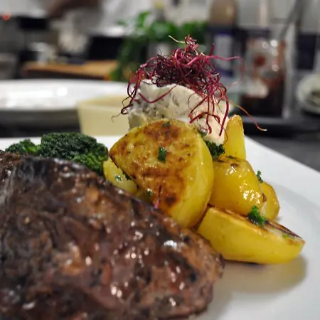 Zelena Ratolest Ceske Budejovice