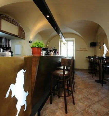 Zelena Ratolest Guest house