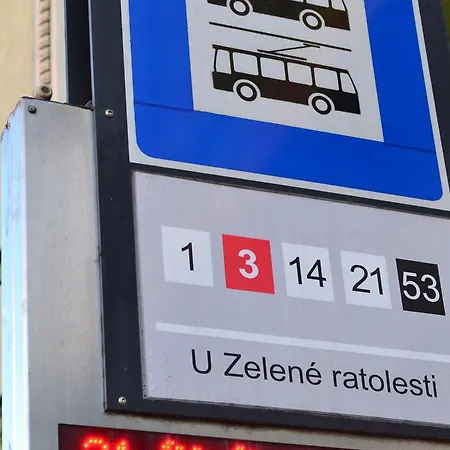 Zelena Ratolest Penzion