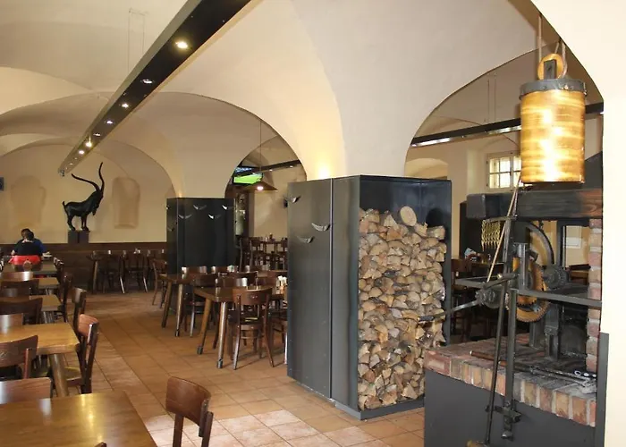 Zelena Ratolest Ceske Budejovice