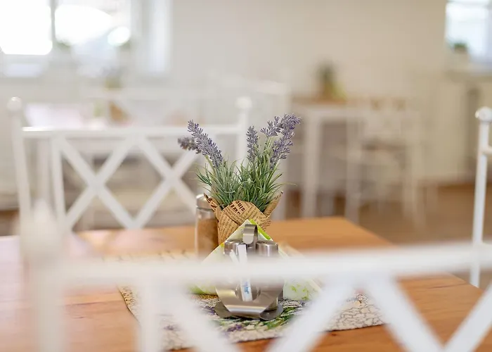 게스트하우스 Zelena Ratolest