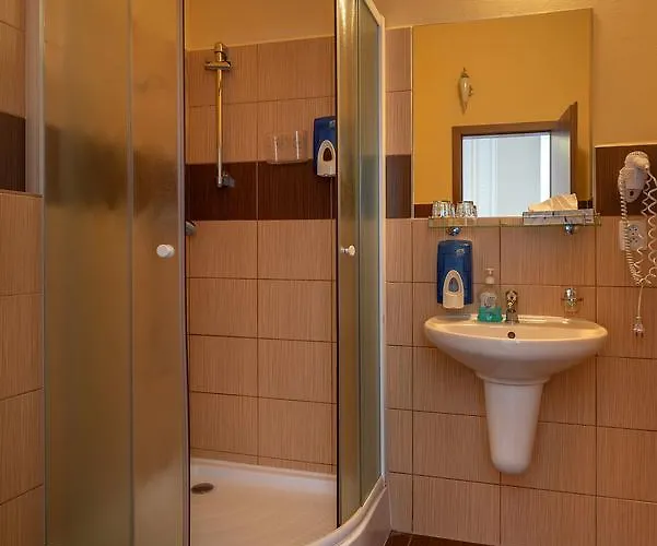 Zelena Ratolest Pensión