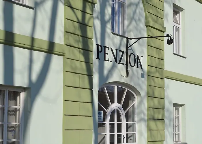 Zelena Ratolest Pensión 3*