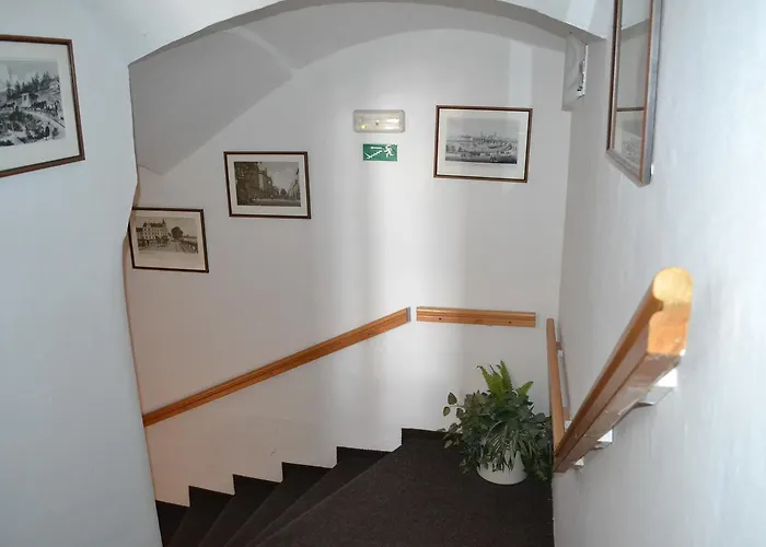 게스트하우스 Zelena Ratolest